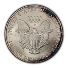 2006 1 oz Silver American Eagle - Violet Rim Toning - BU - SKU-E3444