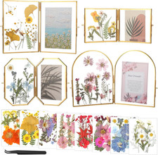 4 Style Double Glass Pressed Flower Frame Handmade with 8 Bag Dried Flowers, Tab
