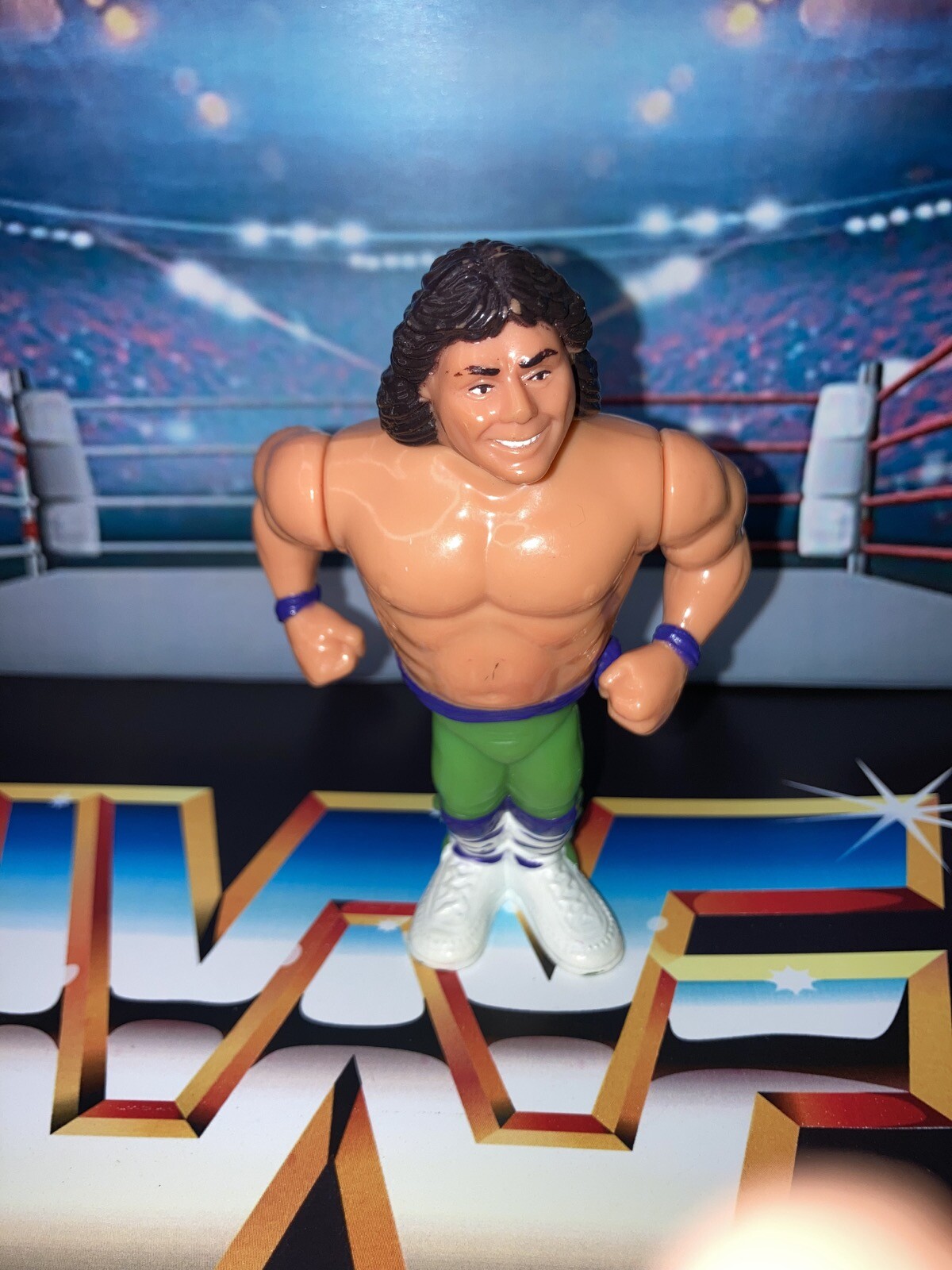 Marty Jannety The Rockers (1991 Series 2) Hasbro WWF 5