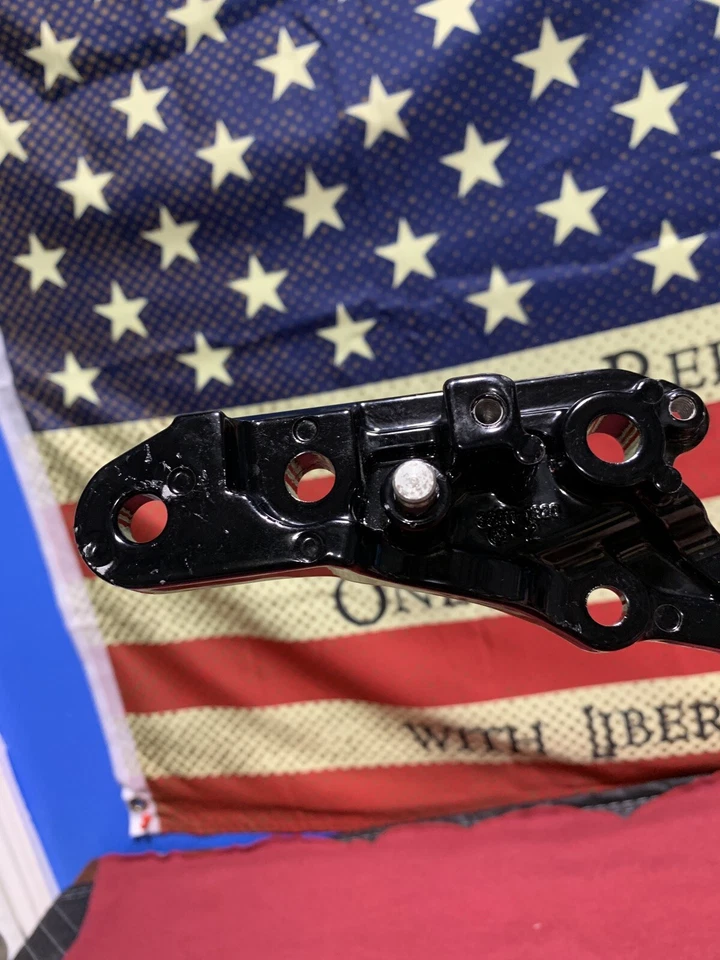 SOPORTE DE CLAVIJA KAWASAKI ZRX1200 ZR 1100 1999 RH RIDERS GENUINO FABRICANTE DE EQUIPOS ORIGINALES LOTE 85K4728 Foto 4 de 4