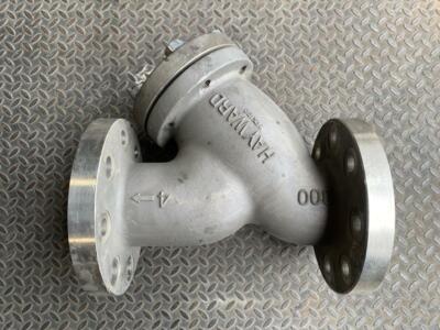 Hayward 4'' 300# RF 316SS Flanged Wye Y Strainer Valve