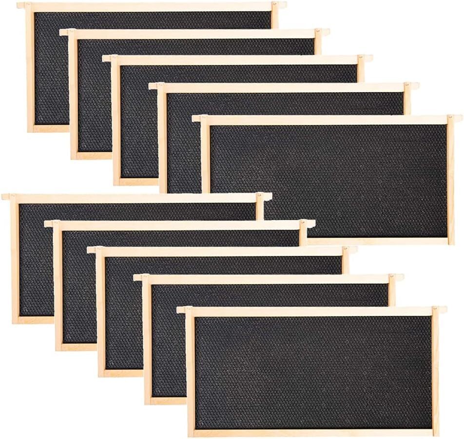 Waxed Deep Frames Foundations with Unassembled Beehive Frames