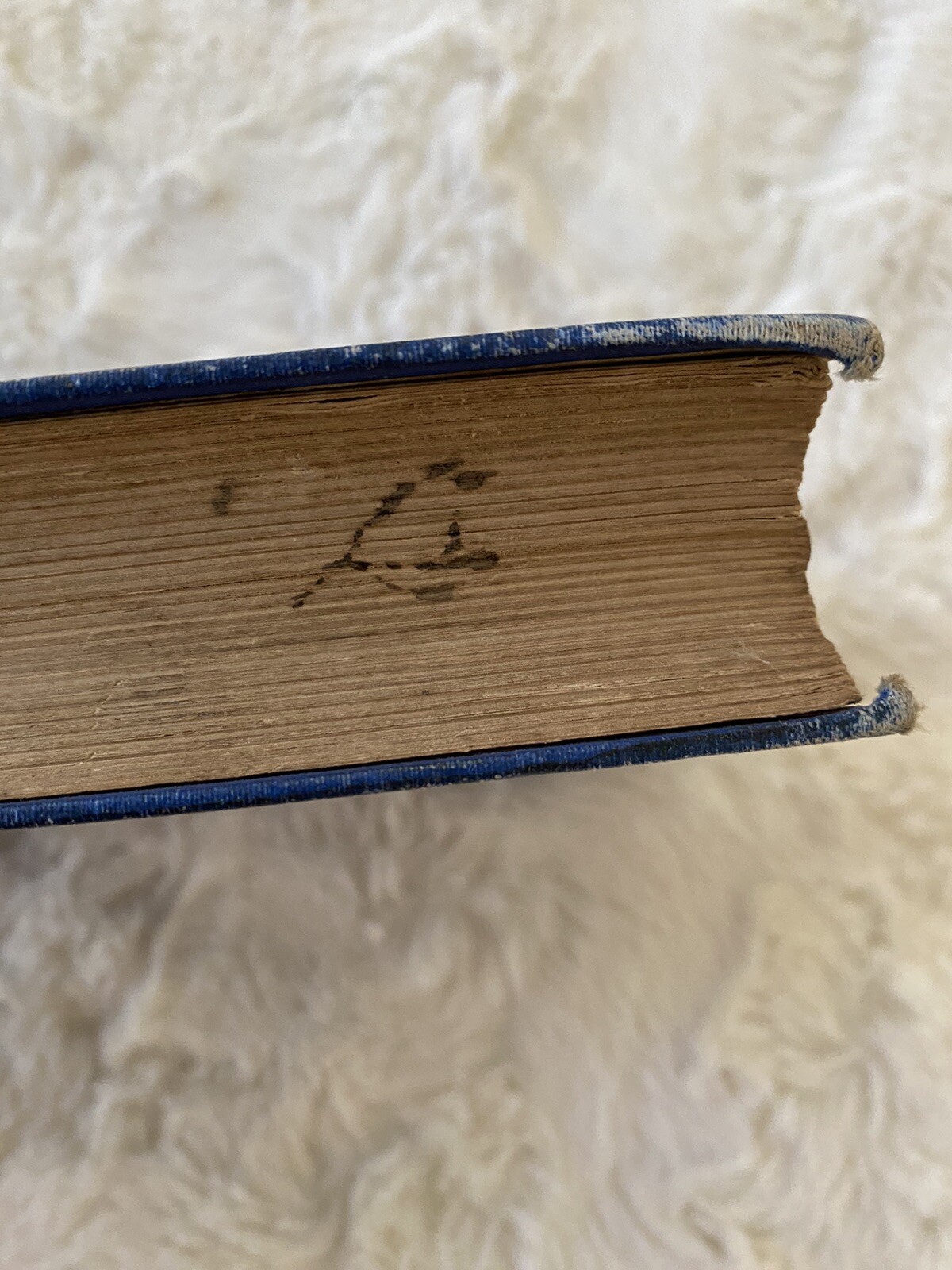 Bild 7 von 18