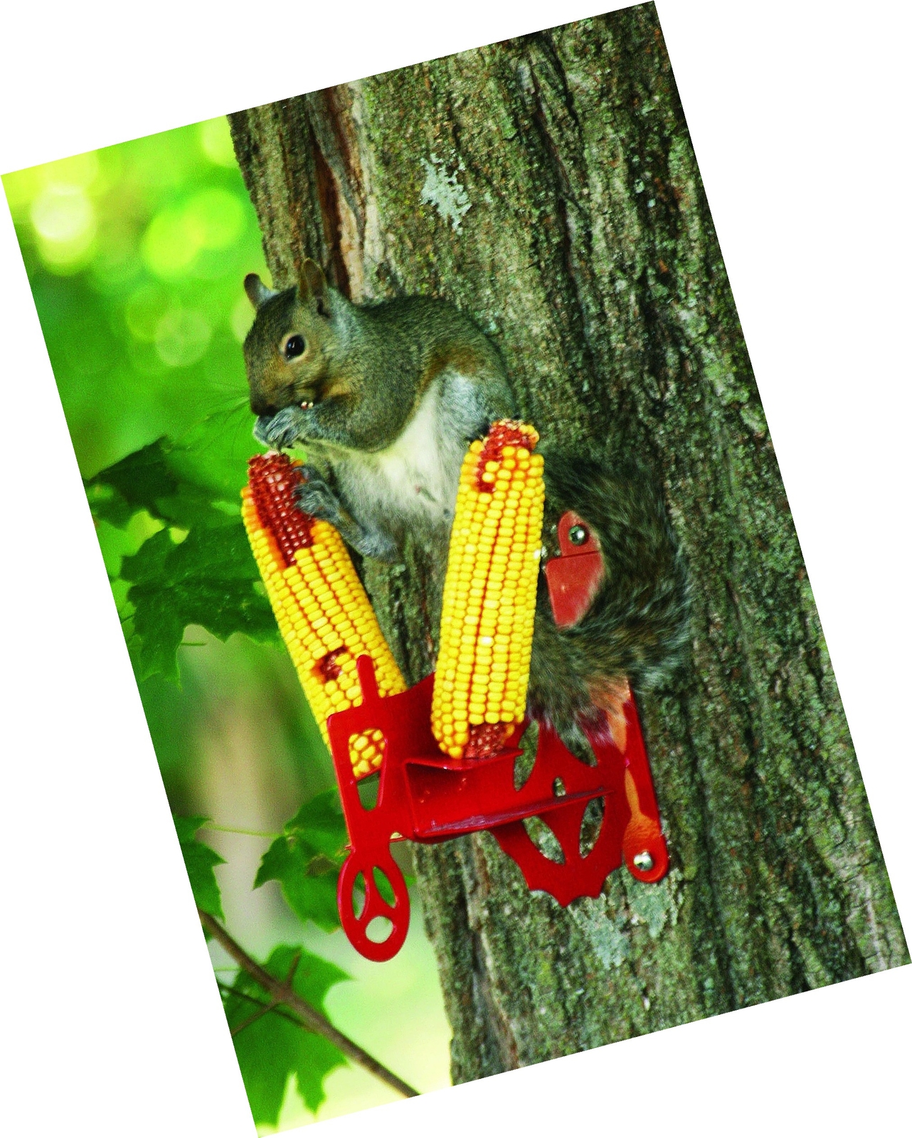 Red Stokes Select Tractor Cob Squirrel Feeder 2 Corn Cob Capacity