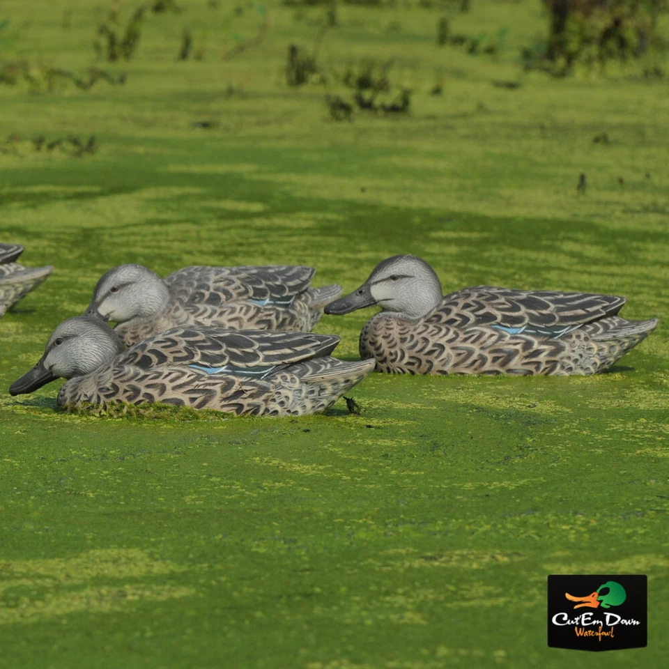 AVERY GREENHEAD GEAR GHG PRO GRADE EARLY SEASON BLUE WINGED TEAL DUCK DECOYS - Image 3 of 3