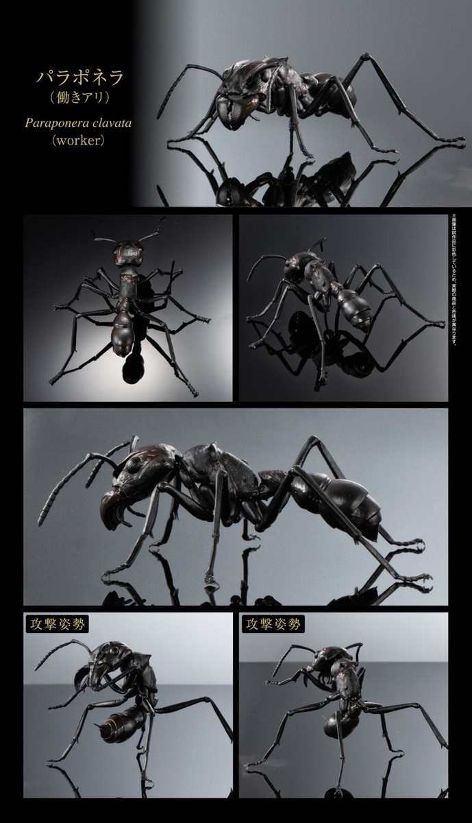 The Diversity of Life on Earth Ant Action Figure Bandai Capsule