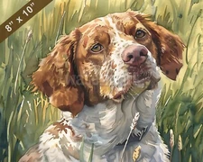 Brittany Spaniel watercolor painting by a sunny meadow  8x10 Print 