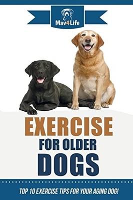 Exercise for Older Dogs : Top 10 Exercise Tips for Your -  NEW Mav4life 2018