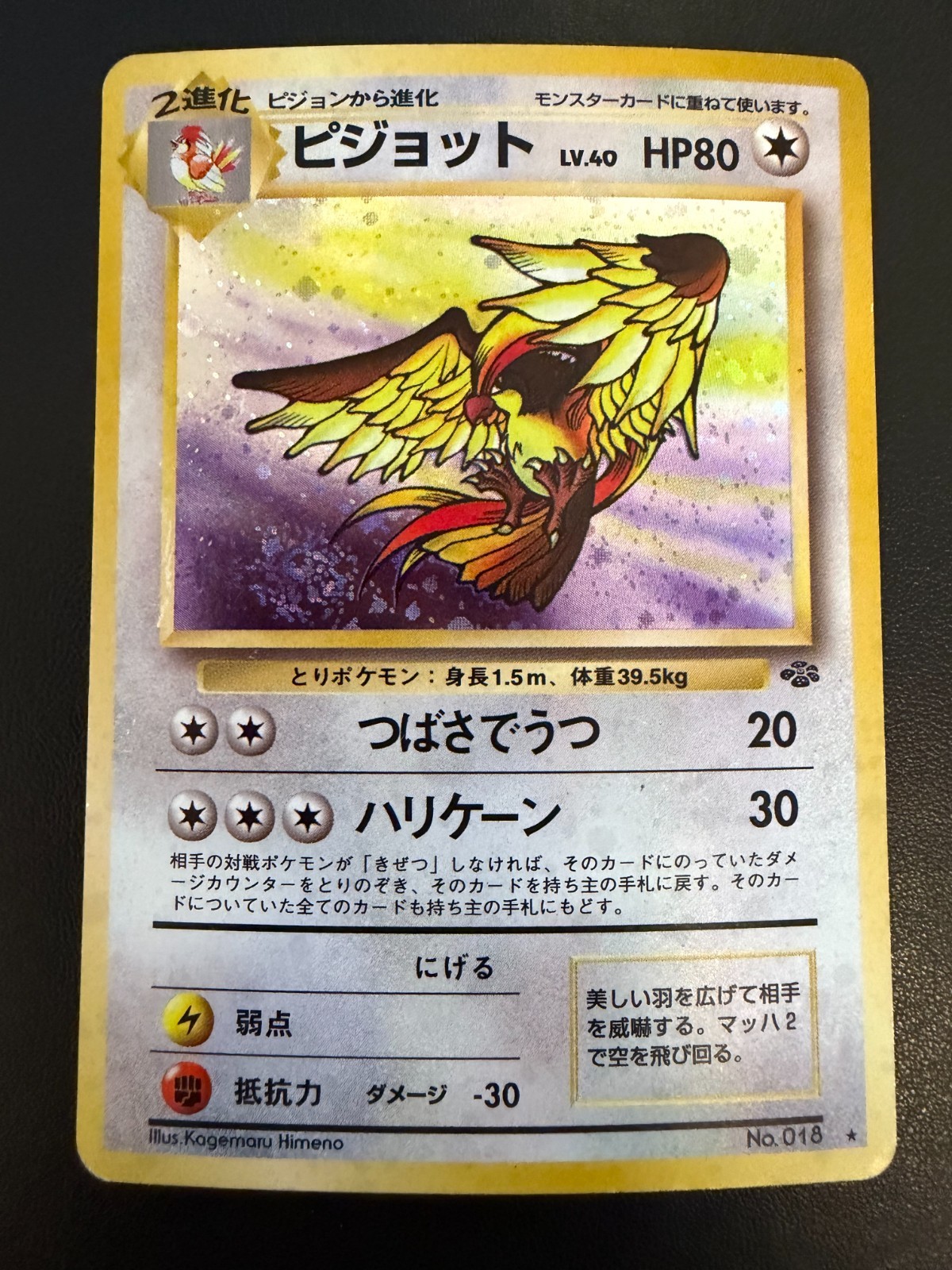 Pidgeot - Japanese Jungle Set (1997) #018 | Holo | MP | Swirl