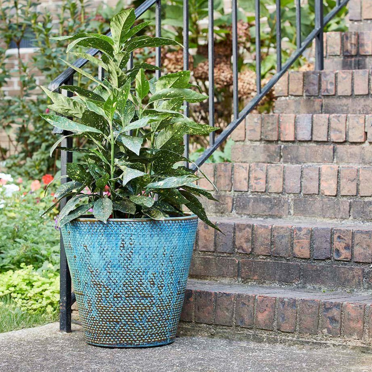 large flower pot planter Lapo Terra Cotta Planter