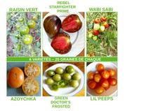 Lot tomates rares 6 variétés reproductibles 20 graines par variété