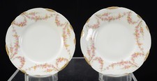 Pair of Theo Haviland Pink Yellow Roses Limoges Porcelain Bread Plates Sch 145