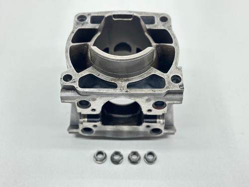 OEM Cylinder Barrel Jug Fits KTM 250SX 2001 Engine Motor Top End SX 54630205344✅