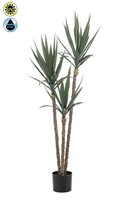 Artplants Kunstpflanze Yucca Greval, Crossdoor, 150Cm