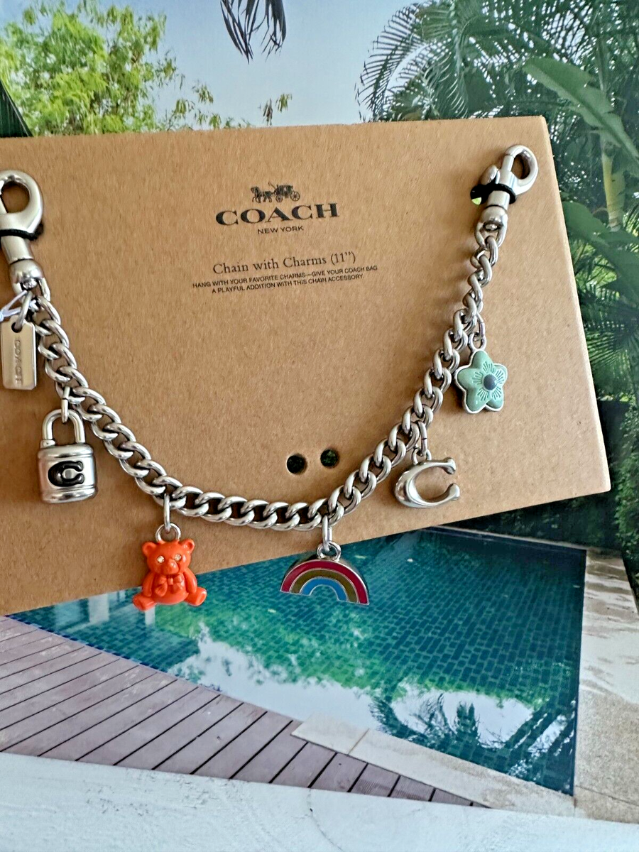 アクセサリー SWAGGER Coach Motif Extension swagger Chain with Charms silver Limited | eBay