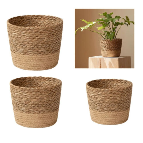 Seagrass Basket Belly Flower Plant Woven Storage Wicker Pot Home Laundry Herb - Picture 1 of 15