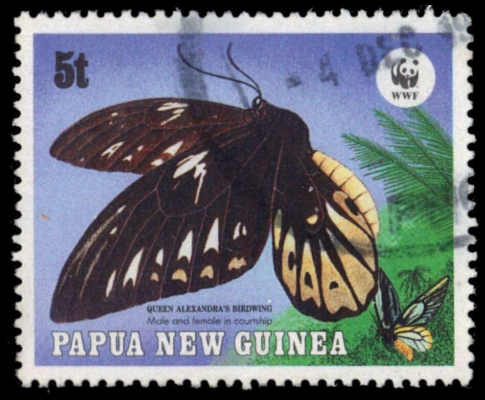PAPUA NEW GUINEA 697 (SG579) - Queen Alexandra's Birdwing