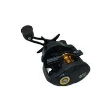 DAIWA 100HL-TW Baitcasting Reel High Performance JP