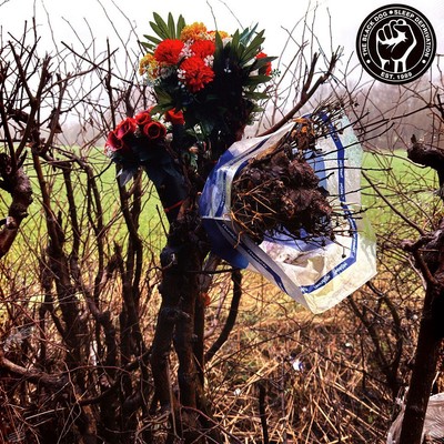 The Black Dog - Sleep Deprivation Blue Colored Vinyl  (2024 - EU - Original)