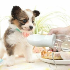 Borraccia 500 ml per animali domestici cane gatto viaggio mangiatoia ciotola cucciolo esterno UK