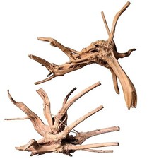 Natural Large Driftwood for Aquarium Decor Spiderwood 11 to 14 Inch Pack of 2 