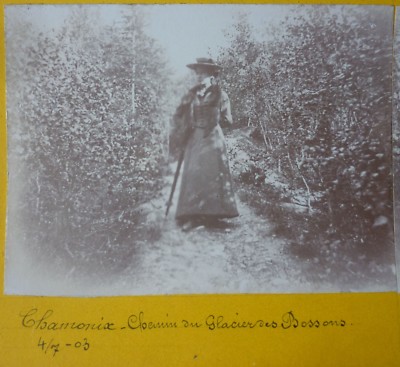 STEREOSKOPISCHE ANSICHT - CHAMONIX CHEMIN DU GLACIER DES BOSSONS 1903 - STEREO FOTO