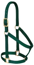 Weaver Equine Nylon Horse Halter Stylish Durable Comfort Fit for All Breeds
