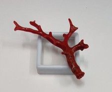 Pietra preziosa ramo grezzo corallo rosso italiano naturale corallo marino...