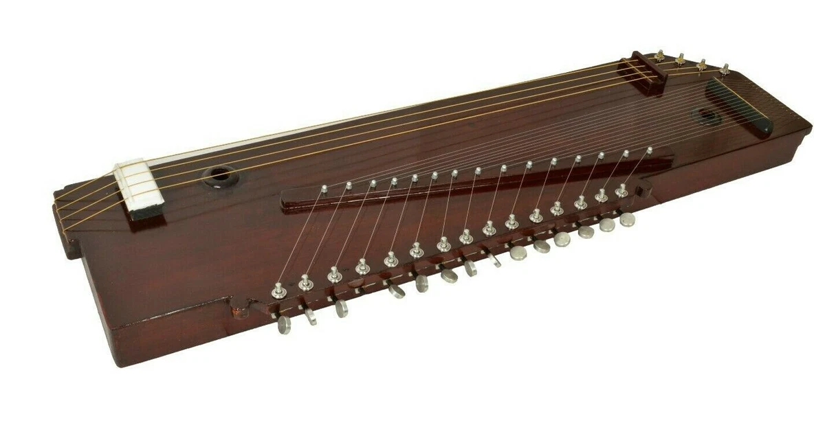 2 string 2024 plucked instrument
