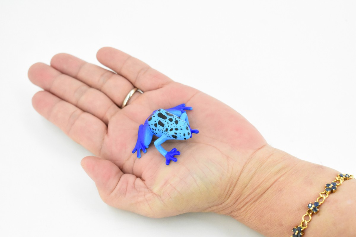 Frog, Poison Dart Frog Blue Plastic Toy Realistic Model Replica