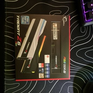 Trident Z5 | eBay
