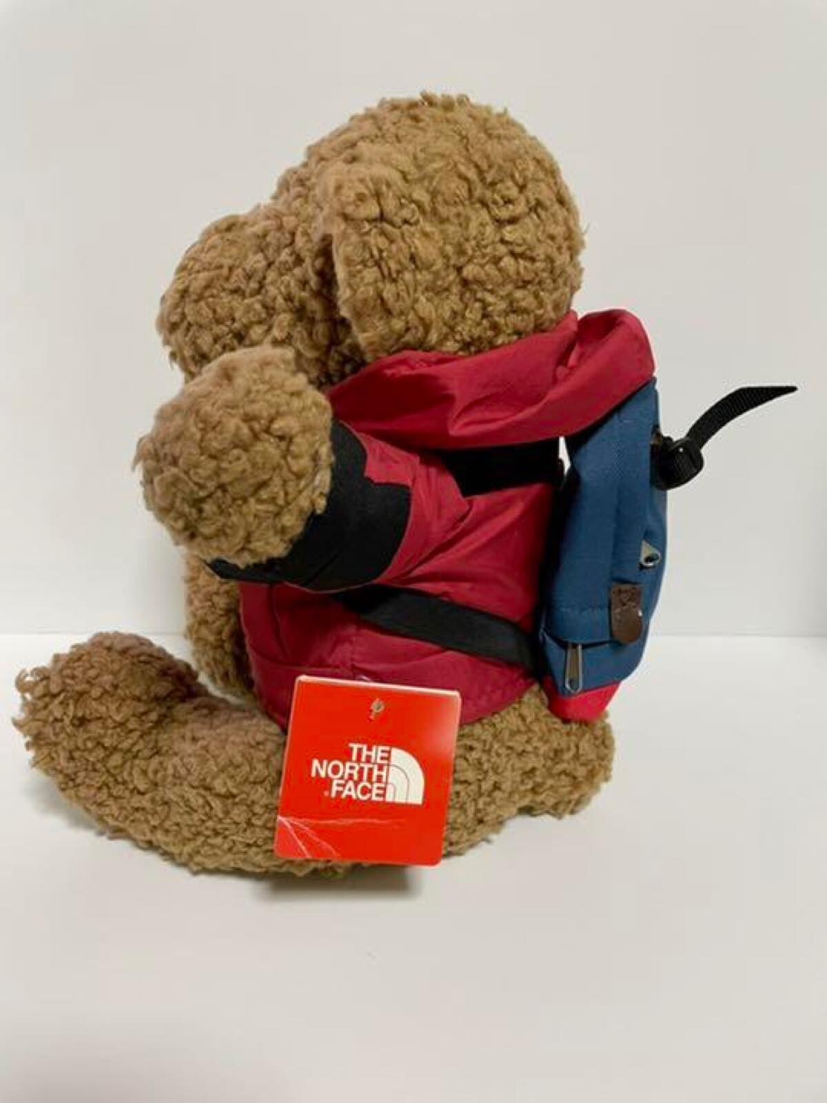 The North Face Original Teddy Bear With 