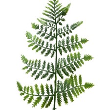 Bulk Lot of 144 Artificial Leather Leaf Fern Two-Tone Green 14" Stems