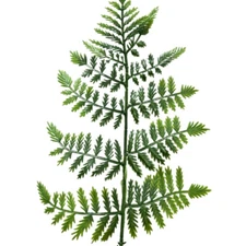 Bulk Lot of 144 Artificial Leather Leaf Fern Two-Tone Green 14" Stems