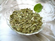 Tea Herb Infusion South American Yerba Mate and Organic Peppermint Leaf Blend