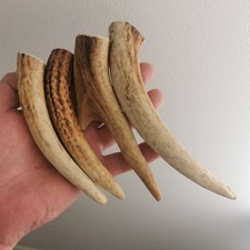 354.RED DEER HORN BLANKS.KNIFE HANDLE MATERIAL.(NATURAL).