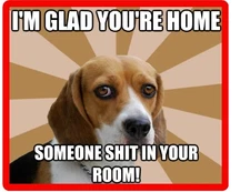 Funny Dog Beagle Crap Room Refrigerator / Tool  Box  Magnet