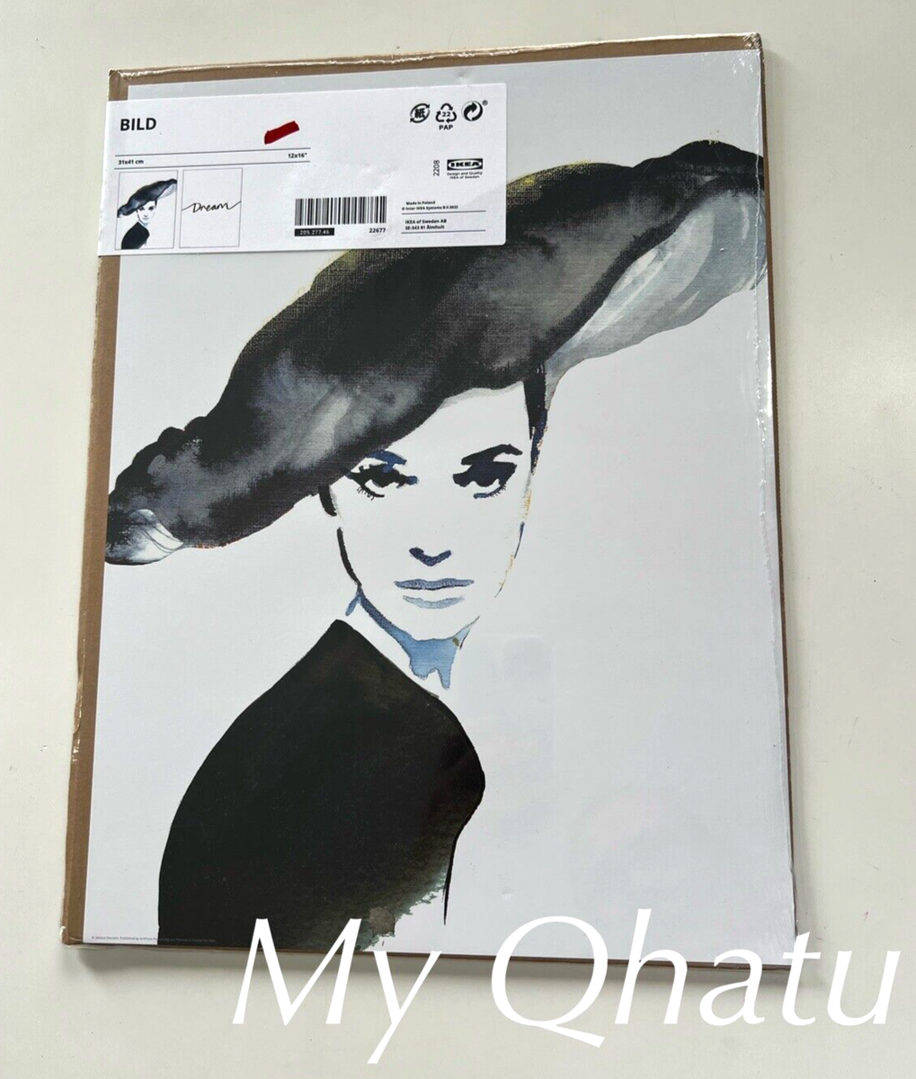 New IKEA BILD Poster Confident Woman Dream 2 Pack 12x16