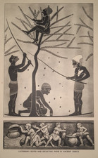 OLIVENERNTE GRIECHISCHER WEIN WEIN 20er 30er Retro Kinder Schule Poster