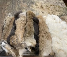 5 PCS Natural Rabbit Skin Pelt Fur Hides Leather Tanned Craft Skin Bunny Leather