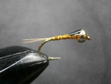 1 DOZEN BROWN AND GOLD TUNGSTEN HEAD NYMPHS FOR FLY FISHING-SPANISH NYMPHS 6