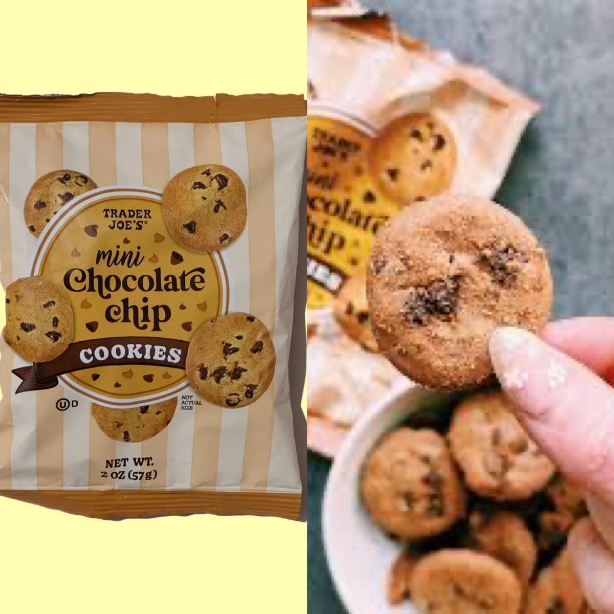 *10 PACK* Trader Joes Mini Chocolate Chip Cookies