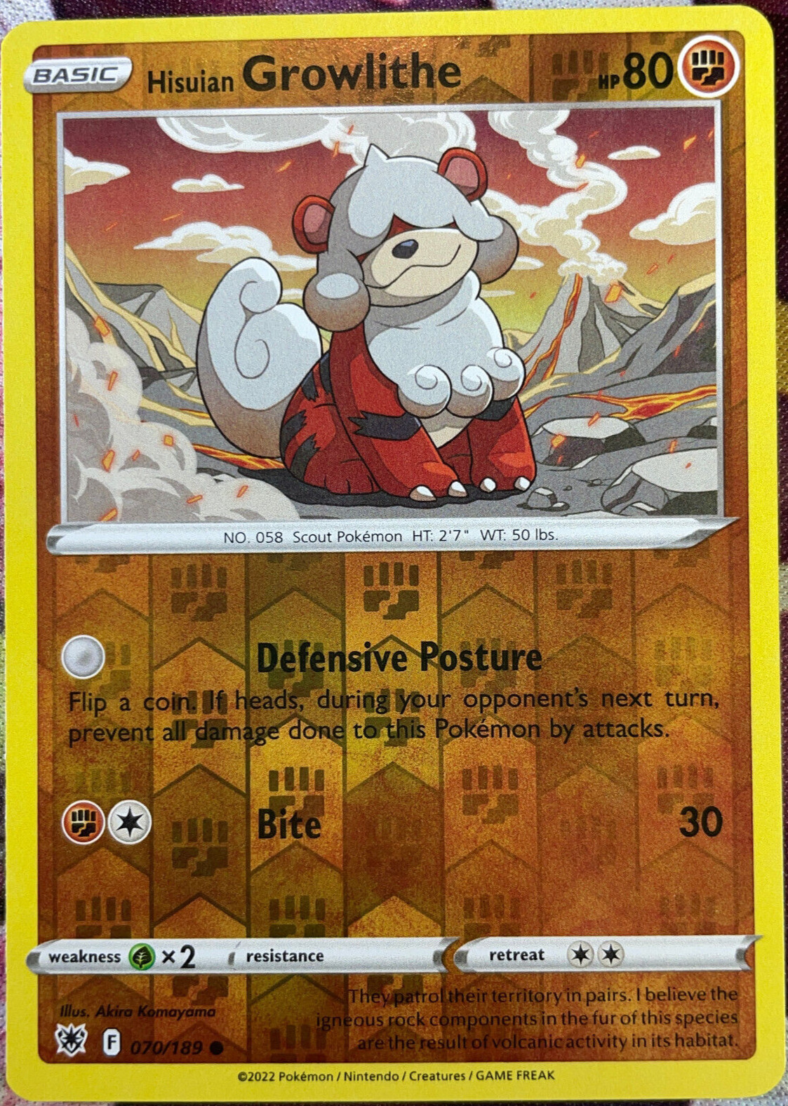 Hisuian Growlithe Reverse Holo - 070/189 - Astral Radiance Pokemon 2022