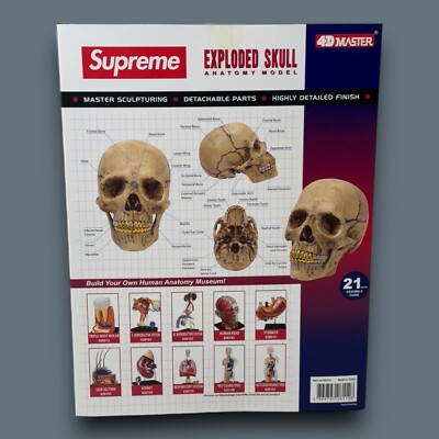 Supreme Skull 4D Exploded Human Anatomy With Gold Grills FW23 IN