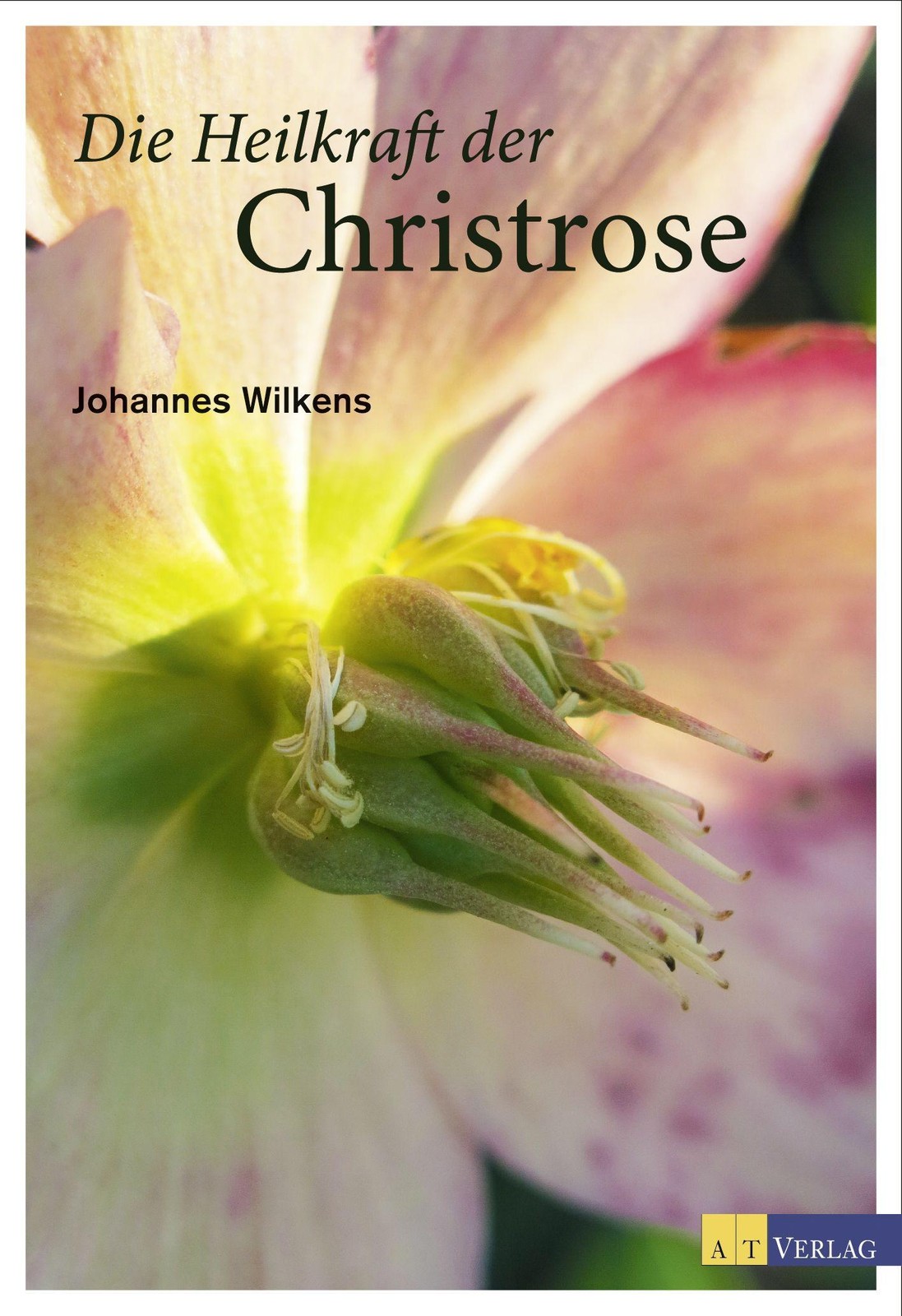 Die Heilkraft der Christrose Johannes Wilkens