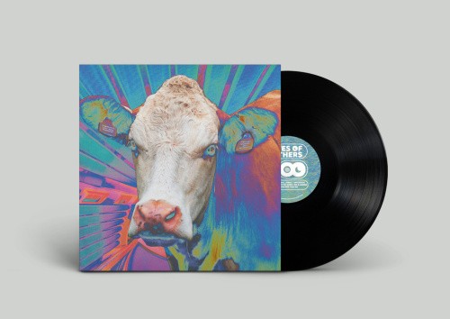 Eyes of Others by Eyes of Others [VINYL]