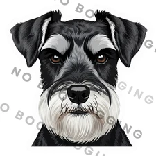 Black White Miniature Schnauzer Dog Portrait Waterproof Vinyl Sticker Laptop