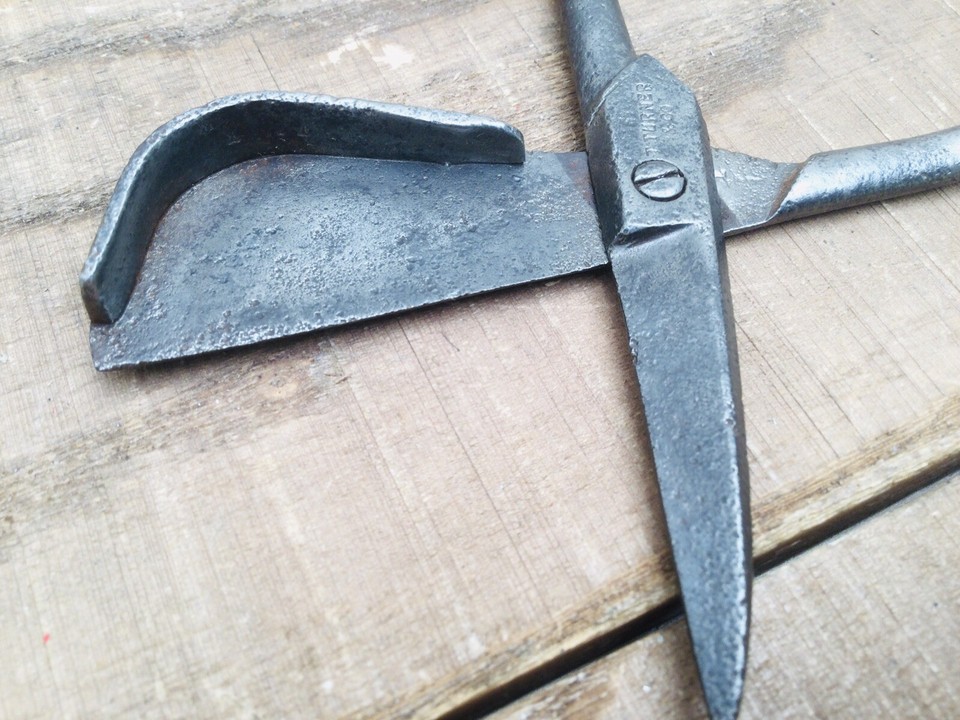 Vintage Thomas Turner & Co Sheffield Candle Wick Scissors eBay