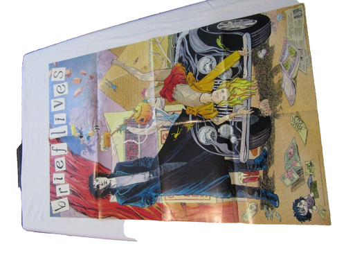 SANDMAN ''BRIEF LIVES'' 1993 DC COMICS by GAIRMAN VINTAGE POSTER 22X34 - Picture 2 of 10