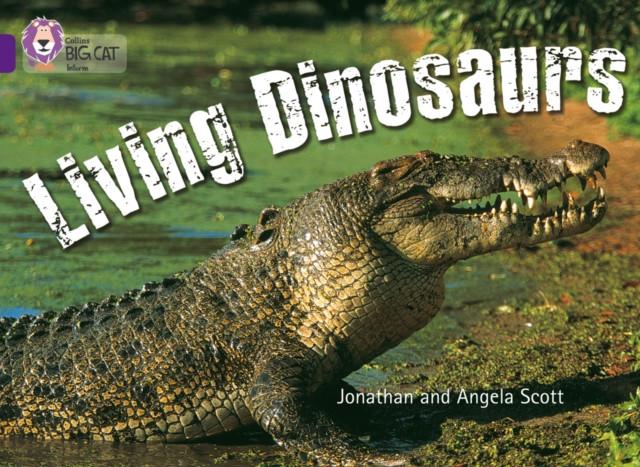 Living Dinosaurs Band 08/Purple by Angela Scott (Paperback Book)